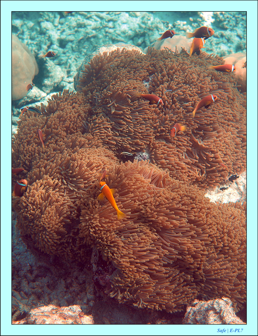 2023 - 07 - Sandies Bathala - 206